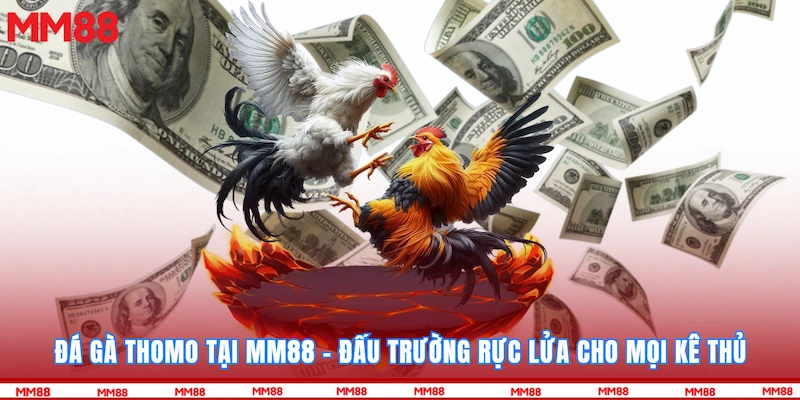 Đá Gà Thomo